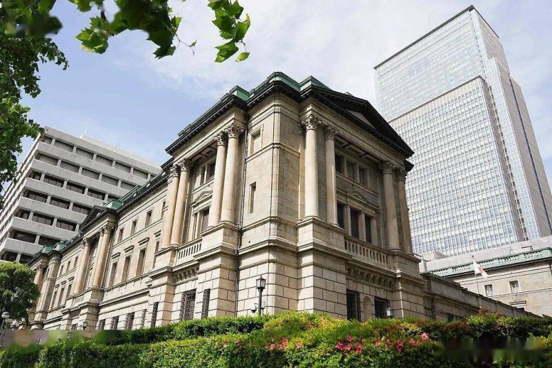 宿松县文联到程岭乡花亭小院开展采风活动 宿松资讯网