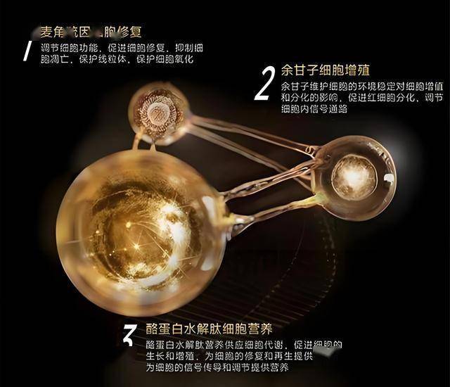 吉利再掀常压油箱之争，比亚迪称用技术创新“反内卷”